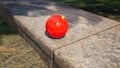 The Aspiration-Ritual Ball on a ledge in the Sun-Speckled Terrace.