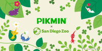 Key artwork for the Pikmin x San Diego Zoo event.