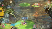 P3 Lily Pads In Action.jpg