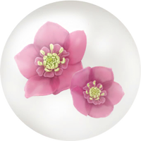 Red helleborus nectar icon.png