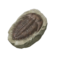Icon for the Slipper-Bug Fossil, from Pikmin 4's Treasure Catalog.