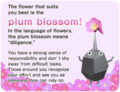 BloomFlowerQuizPlumblossom.png