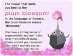 The plum blossom result, from the Pikmin Bloom Flower Personality Quiz.