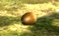 The Screenshot of the Armored Nut in Pikmin 2's Treasure Hoard.