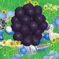 Dark Grapes Pikmin Bloom.jpg