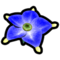 The Piklopedia icon of the Lapis Lazuli Candypop Bud in the Nintendo Switch version of Pikmin 2.