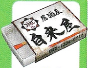 Artwork of the Flame of Tomorrow in the Japanese version of Pikmin 2.