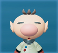 Olimar's profile, as seen on the Japanese website.