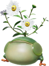 Render of a Creeping Chrysanthemum from the Pikmin Garden website.