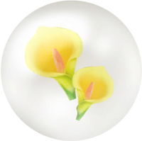 Yellow calla lily nectar icon.png