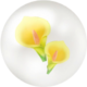 Icon for yellow calla lily nectar from Pikmin Bloom.