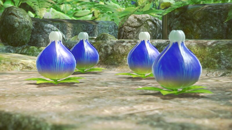File:P3D Blue Candypop Bud Group Closed.jpg