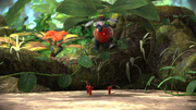 Onion - Pikipedia, the Pikmin wiki