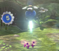 A Blue Onion activating in Pikmin 3.