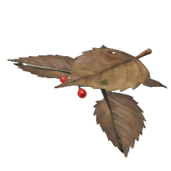 Icon for the Desiccated Skitter Leaf, from Pikmin 4's Piklopedia.