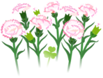 White carnation flowers icon.png