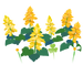 Texture for yellow salvia flowers on the map in Pikmin Bloom.