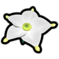 The Piklopedia icon of the Ivory Candypop Bud in the Nintendo Switch version of Pikmin 2.