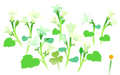 Thumbnail for version as of 02:40, June 2, 2026