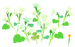Texture for white bellflower flowers on the map in Pikmin Bloom.