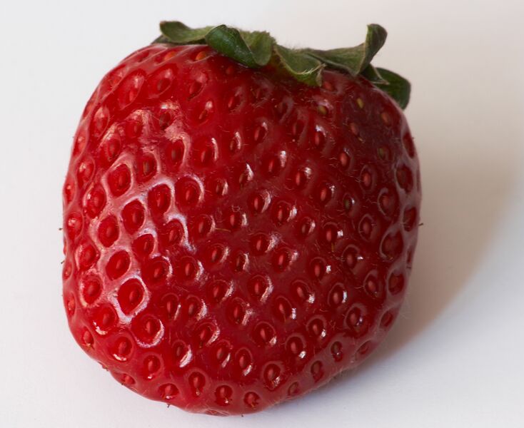 File:Real Large Strawberry.jpg