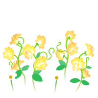 Yellow sweet pea flowers icon.png