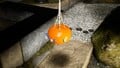 Multiple Blue Pikmin latching onto the treasure, attempting to pull it down.