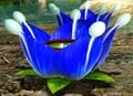 The Candypop Bud for Blue Pikmin in Pikmin 3.