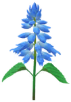 Blue salvia Big Flower icon.