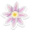 Lifelog artwork of a white clematis from Pikmin Bloom.