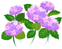 Red hydrangea flowers icon.png