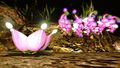 A Pink Candypop Bud and some Winged Pikmin.