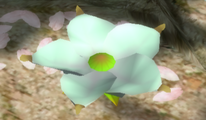 An Ivory Candypop Bud as it appears in Pikmin 2