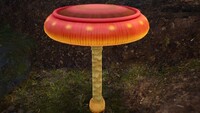 P4 Bouncy Mushroom Close-Up.jpg