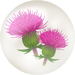 Red thistle nectar from Pikmin Bloom.