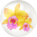 Yellow cattleya nectar in Pikmin Bloom.
