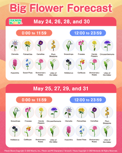Schedule for the types of Big Flowers that bloomed during the 3.5 Anniversary Community Week in Pikmin Bloom.
