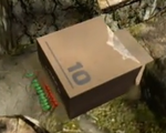 A cardboard box from Pikmin.
