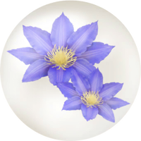 Blue clematis nectar icon.png