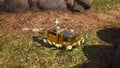 The treasure being carried by some Yellow Pikmin.