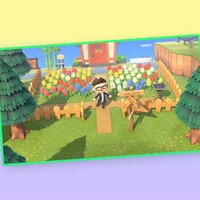 The Play Nintendo Spring break adventures! question 3 answer 2.