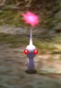 A White Pikmin under the effects of ultra-spicy spray.