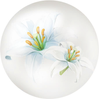 White lily nectar icon.png