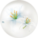 White lilium nectar from Pikmin Bloom.