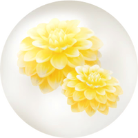 Yellow dahlia nectar icon.png