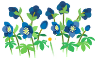 Blue helleborus flowers icon.png