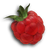 The Fruit File icon for the Juicy Gaggle.