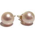 Real world pearl earrings.