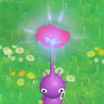 Cropped screenshot from Pikmin Bloom displaying the rare glowing effect that Pikmin occasionally display after being fed nectar.