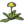 Piklopedia Dandelion.png